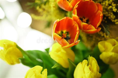 Flower Bouquet. Red and Yellow Tulips Stock Photo - Image of leaf ...