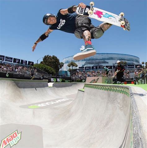 heilen Peinlich Taste hosoi skateboards Gestreift Assoziieren Damm