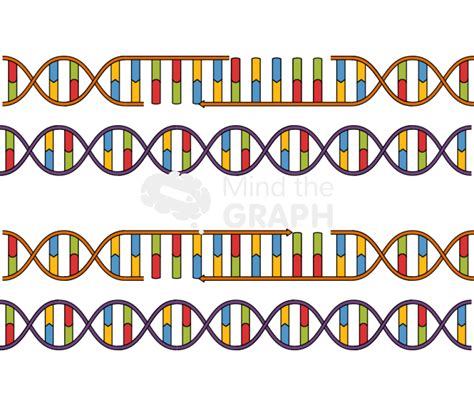 Dna Recombination