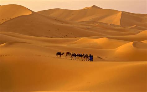 HD Camel Caravan In The Desert Wallpaper | Download Free - 113385