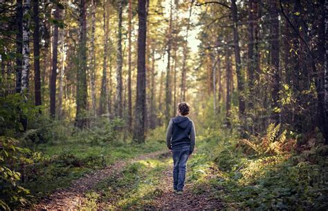 Caucasian boy wandering in forest - Stock Photo - Dissolve