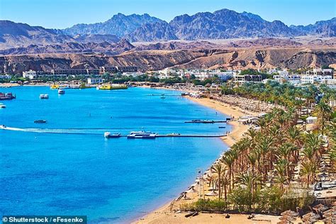 Sharm El-Sheikh offers superb diving - and with direct flights from next week it is back in ...