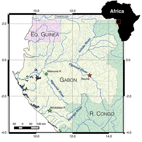 Cryptomyrus: a new genus of Mormyridae (Teleostei, Osteoglossomorpha ...