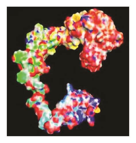 Modelling of protein via I-TASSER. Rv3906c protein modelled via ...