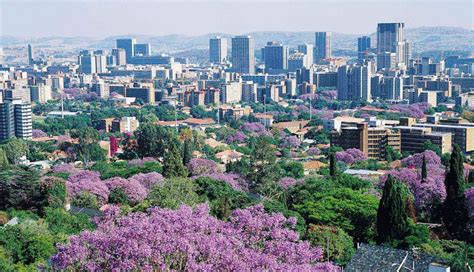 SA Metro: City of Tshwane - SABC News - Breaking news, special reports, world, business, sport ...