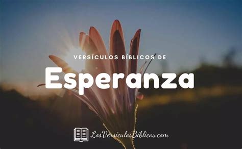 46 Versículos de Esperanza en la Biblia | Textos Bíblicos