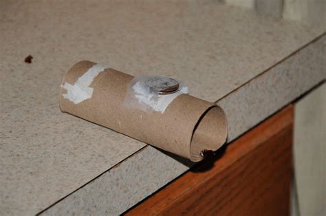 Homemade Mouse Trap (15 DIY Rat Traps that Really Work)