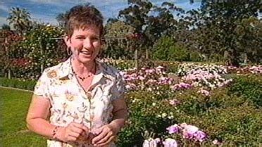 Rose Aphids - Gardening Australia