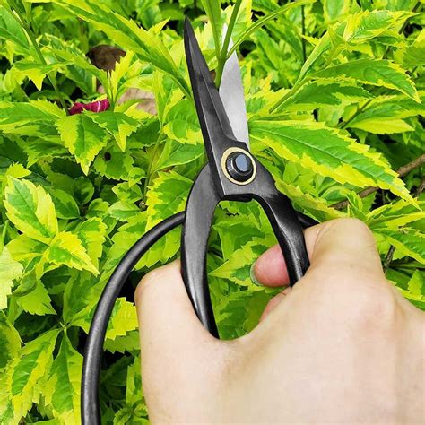 5 Best Garden Scissors of 2022 | Family Handyman