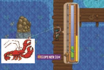 How to Catch Stardew Valley Lobster, Location, Difficulty, Seasons ...