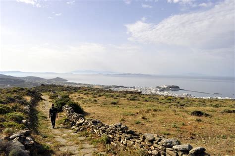 Home - Tinos Trails