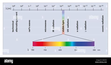 spectrum of electromagnetic waves with wavelengths Stock Photo - Alamy