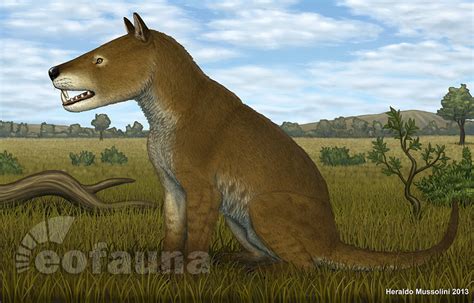 Hyaenodon horridus | Eofauna