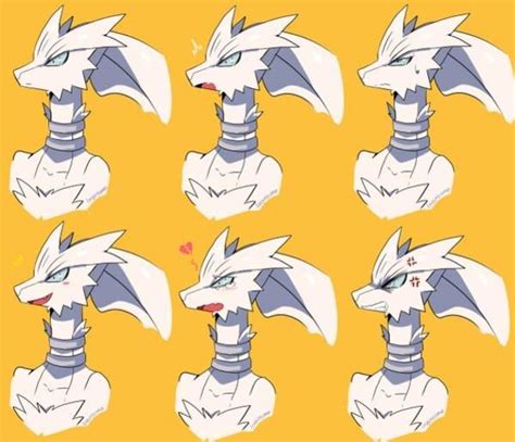 Expressive Reshiram | Pokémon | Pokemon, Cool pokemon, Pokemon images