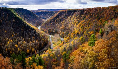 Fall Foliage in Pa.’s Grand Canyon | Garden Housecalls