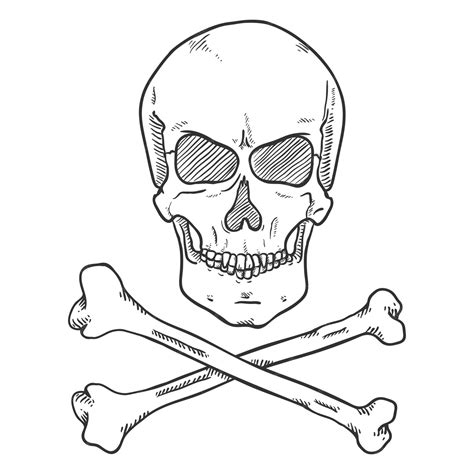 Premium Vector | Vector sketch pirate symbol skull with cross bones