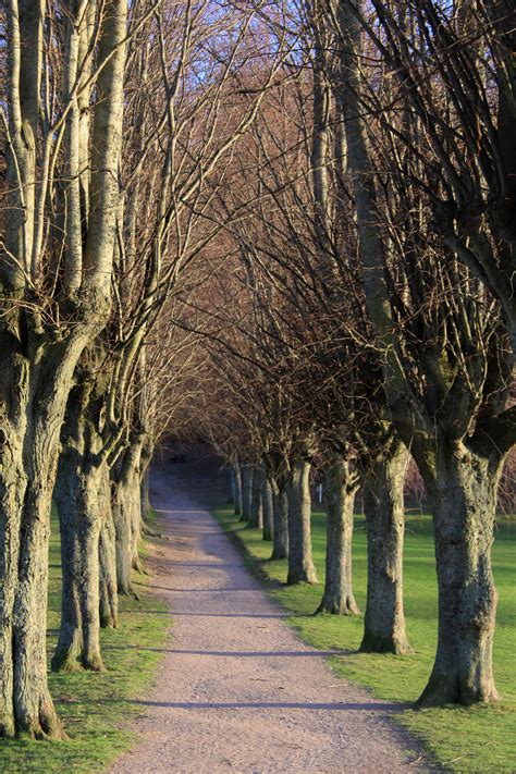 Park in Forres | Visit scotland, Places in scotland, Scotland