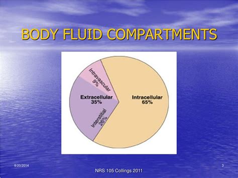 degugl.blogg.se - Body fluid compartments measurement chemicals