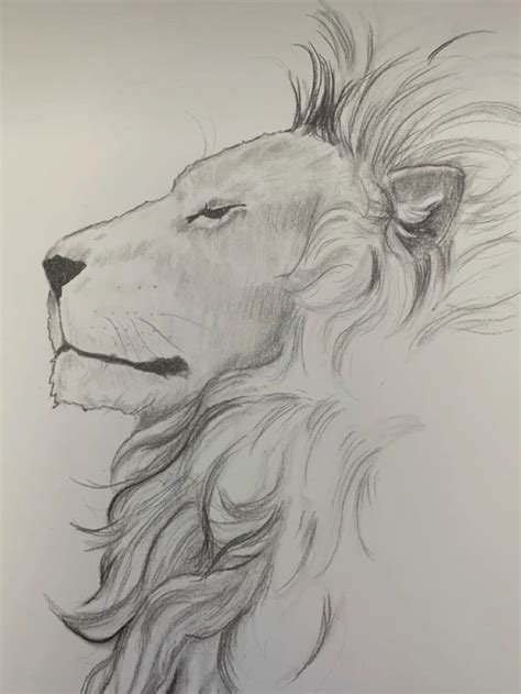 Pin by Madwolf11 on Pins by you | Lion drawing, Animal drawings ...