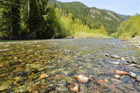 Photos: Hiking the Skagit River Trail in Skagit Valley Provincial Park | Georgia Straight ...