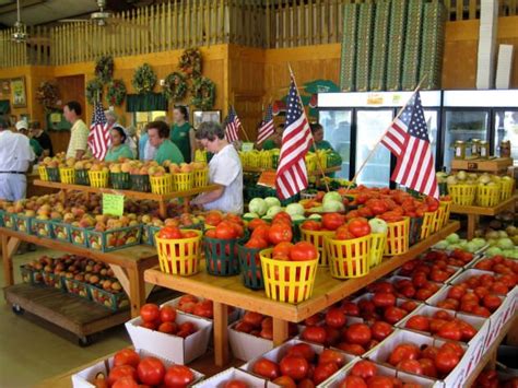 amish produce stand near me - Theola Doss