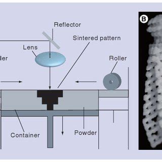 Selective laser sintering process (A) Schematic of selective laser... | Download Scientific Diagram