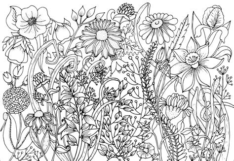 Cute spring flowers - Flowers Adult Coloring Pages