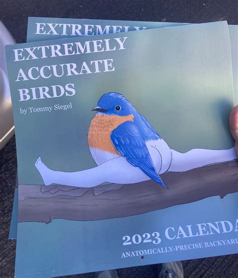 2024 Calendar Extremely Accurate Birds - Ericka Priscilla