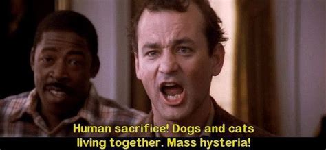 Funny Ghostbusters Quotes - ShortQuotes.cc