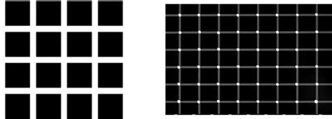 Hermann Grid Illusion : The Mystery Unveiled - Biology - Science Forums