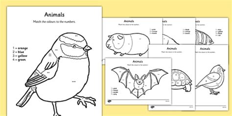 Animal Colour by Number Worksheets | EYFS Primary Resources