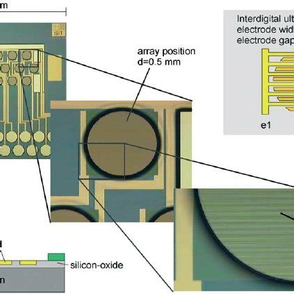 Overview of the chip design and layout. Depicted diagonally are the... | Download Scientific Diagram