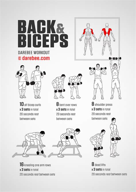 Back & Biceps Workout | Back and bicep workout, Biceps workout, Back and biceps