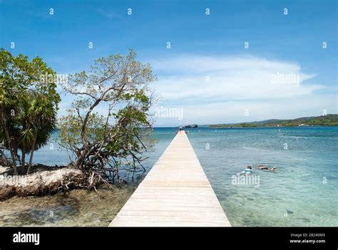 The snorkeling activities on Mahogany Bay beach on Roatan Island (Honduras Stock Photo - Alamy