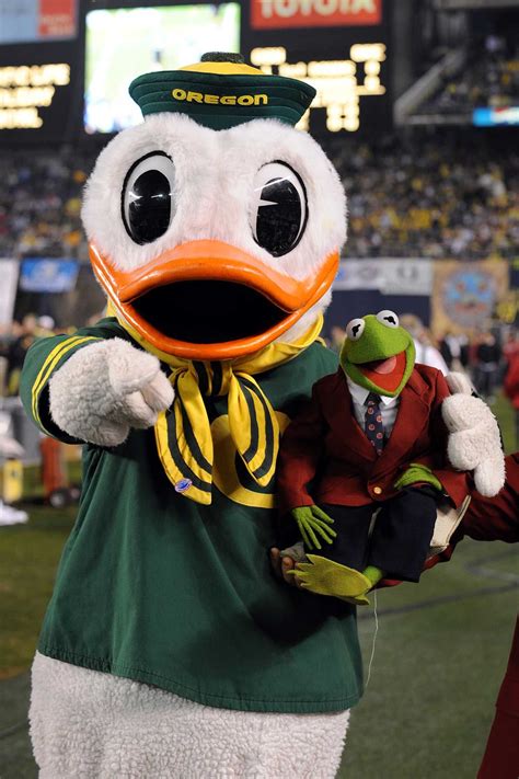 Pin by Homefacts on The Duck & Friends | Oregon ducks football, Oregon ...