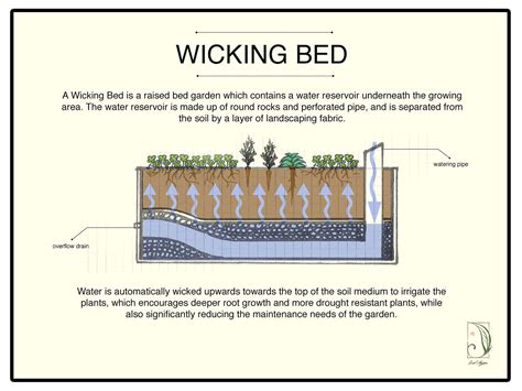 Wicking Garden Bed, Wicking Beds, Garden Watering System, Self Watering Planter, Raised Garden ...