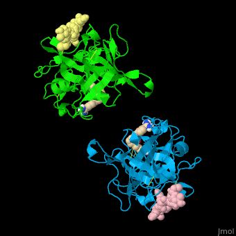 Plasminogen activator - Proteopedia, life in 3D