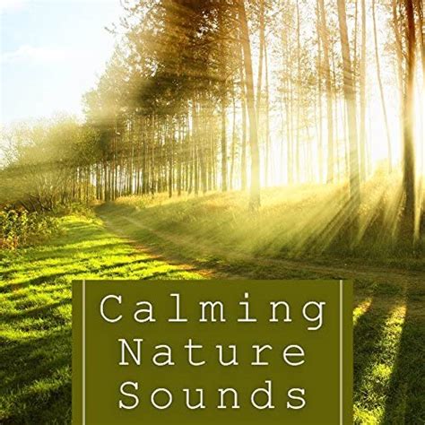 Amazon.com: Calming Nature Sounds – Relaxing Waves, Soothing Sounds ...