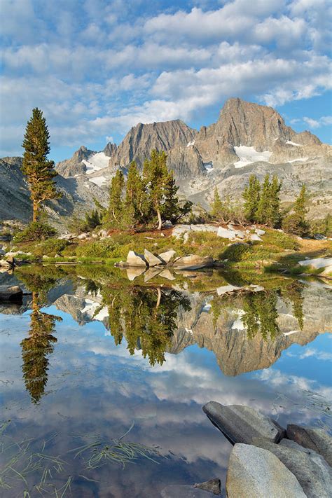 USA, California, Inyo National Forest Photograph by Jaynes Gallery | Pixels