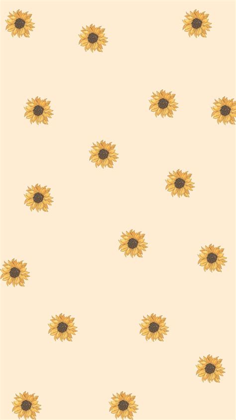 Sunflower Background Images