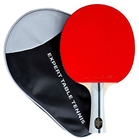 Best TT Racket Under 4000 [table Tennis Racket In India Under 4k] | March 2024 | HomeGymIndia.in