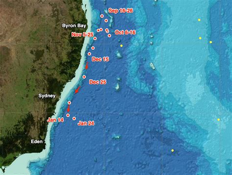 Analysis: Intrusion of the East Australian Current | Swellnet Analysis | Swellnet