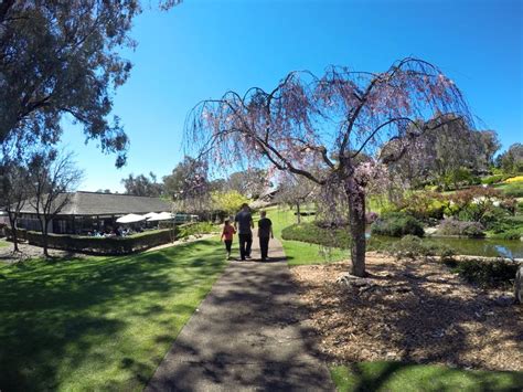 Cowra Japanese Gardens : Exploring Edo Japan In Australia - The Kid Bucket List