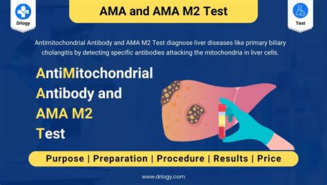 AMA (Antimitochondrial Antibody) and AMA M2 Test Results - Drlogy