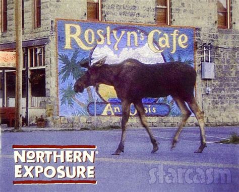 Northern Exposure reboot confirmed with Rob Morrow and original show co-creators – Starcasm