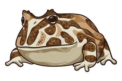 Cartoon Goliath Frog Clipart Vector Illustration - FriendlyStock