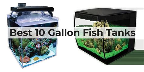 The Best 10 Gallon Fish Tanks | The Goldfish Tank