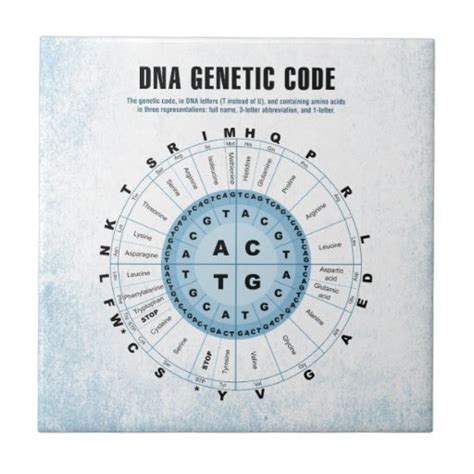 DNA Genetic Code Chart Ceramic Tile | Zazzle