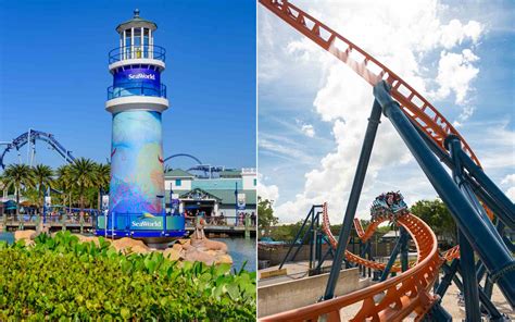 7 Best Rides at Seaworld Orlando