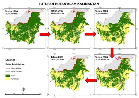 Luas Hutan Kalimantan - Homecare24